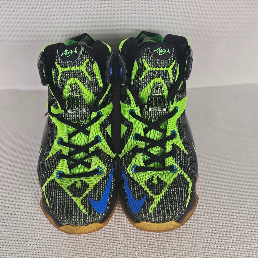 Nike LeBron James high tops